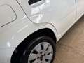 Fiat Panda 1.3 M.JET 75 cv. POP (Auto da ripristinare) Bianco - thumbnail 5