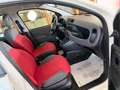 Fiat Panda 1.3 M.JET 75 cv. POP (Auto da ripristinare) Bianco - thumbnail 15