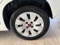 Fiat Panda 1.3 M.JET 75 cv. POP (Auto da ripristinare) Bianco - thumbnail 6