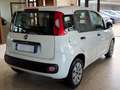 Fiat Panda 1.3 M.JET 75 cv. POP (Auto da ripristinare) Bianco - thumbnail 4