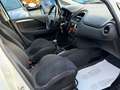 Fiat Punto New 1.3 M.JET 75 cv 5p LOUNGE (MOTORE DA RIVEDERE) Bianco - thumbnail 14