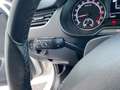 Skoda Octavia 1.6 TDI SCR 115 CV Wagon Executive Bianco - thumbnail 16