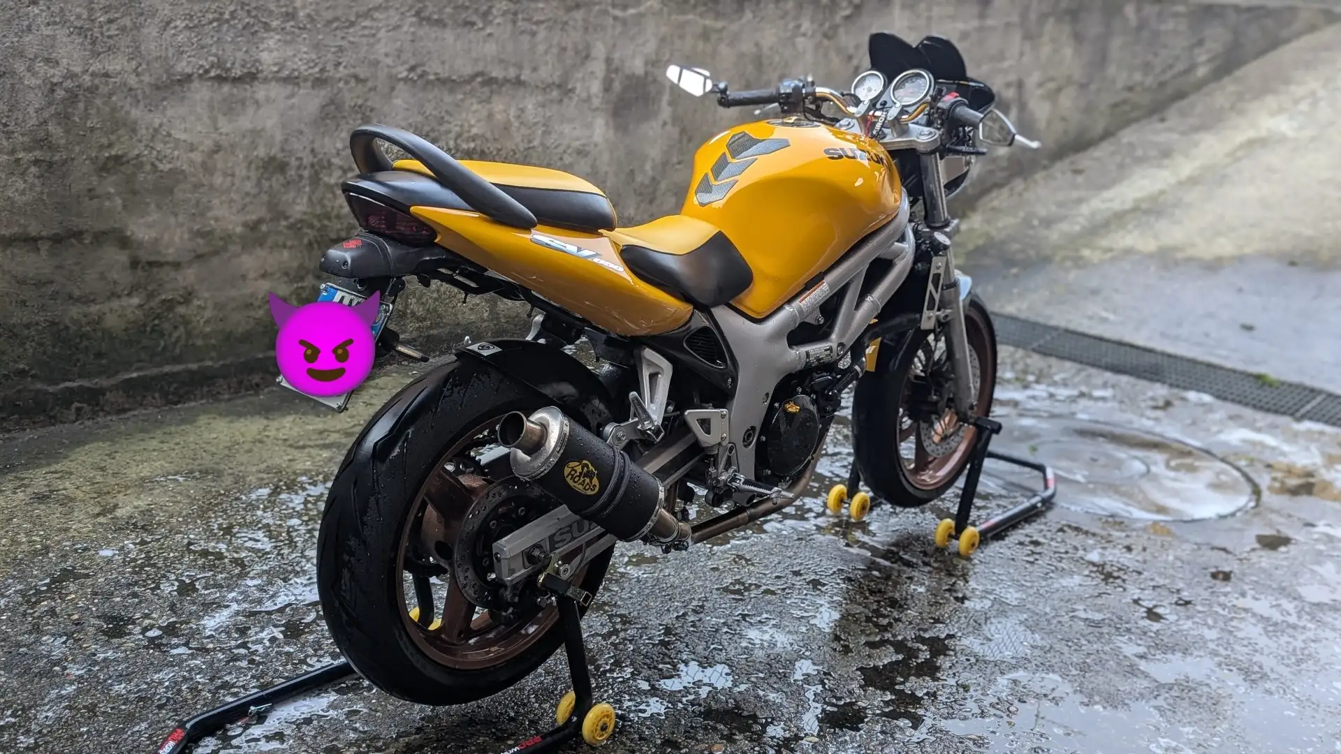 Suzuki SV 650 Giallo - 1