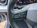 SEAT Arona Style *Navi-App/SHZG/LED/Kamera/PDC* Silber - thumbnail 17