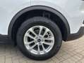 Ford Kuga 2.5 Duratec PHEV TITANIUM Blanc - thumbnail 18