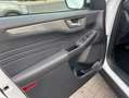 Ford Kuga 2.5 Duratec PHEV TITANIUM Blanc - thumbnail 15