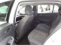 Volkswagen Golf VIII 1.5 TSI Life Spurhalteassistent LED He Weiß - thumbnail 6