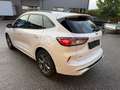 Ford Kuga #ST-Line#Virtuall#AHK#Rückfahr#Teilleder Weiß - thumbnail 6