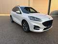 Ford Kuga #ST-Line#Virtuall#AHK#Rückfahr#Teilleder Weiß - thumbnail 1