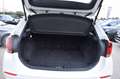 BMW X1 (E84) XDRIVE25DA 218CH M SPORT Blanc - thumbnail 16
