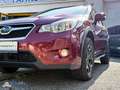 Subaru XV Comfort Allrad Rot - thumbnail 2