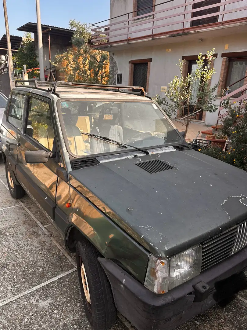 Fiat Panda Panda 1.0 Sisley 4x4 Grün - 1