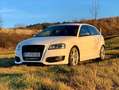 Audi S3 A3 S3 SB 2,0 TFSI quattro S-tronic Weiß - thumbnail 15