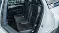 Volvo XC90 2.0 B5 MOMENTUM PRO AWD 7 POSTI TETTO PELLE NAVI F Alb - thumbnail 14