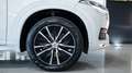 Volvo XC90 2.0 B5 MOMENTUM PRO AWD 7 POSTI TETTO PELLE NAVI F Alb - thumbnail 20
