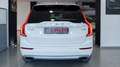 Volvo XC90 2.0 B5 MOMENTUM PRO AWD 7 POSTI TETTO PELLE NAVI F Alb - thumbnail 6