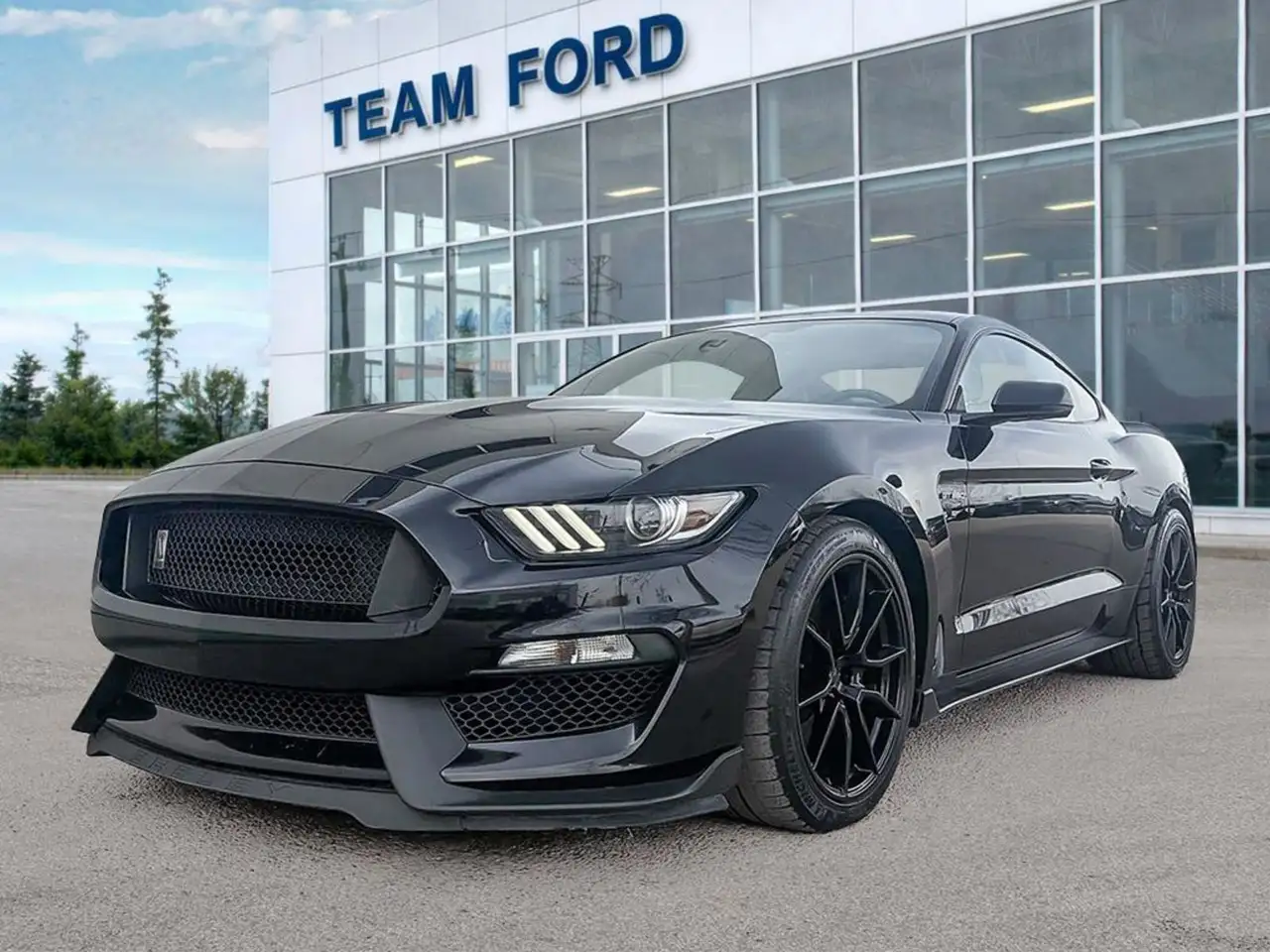 2019 Ford Mustang
