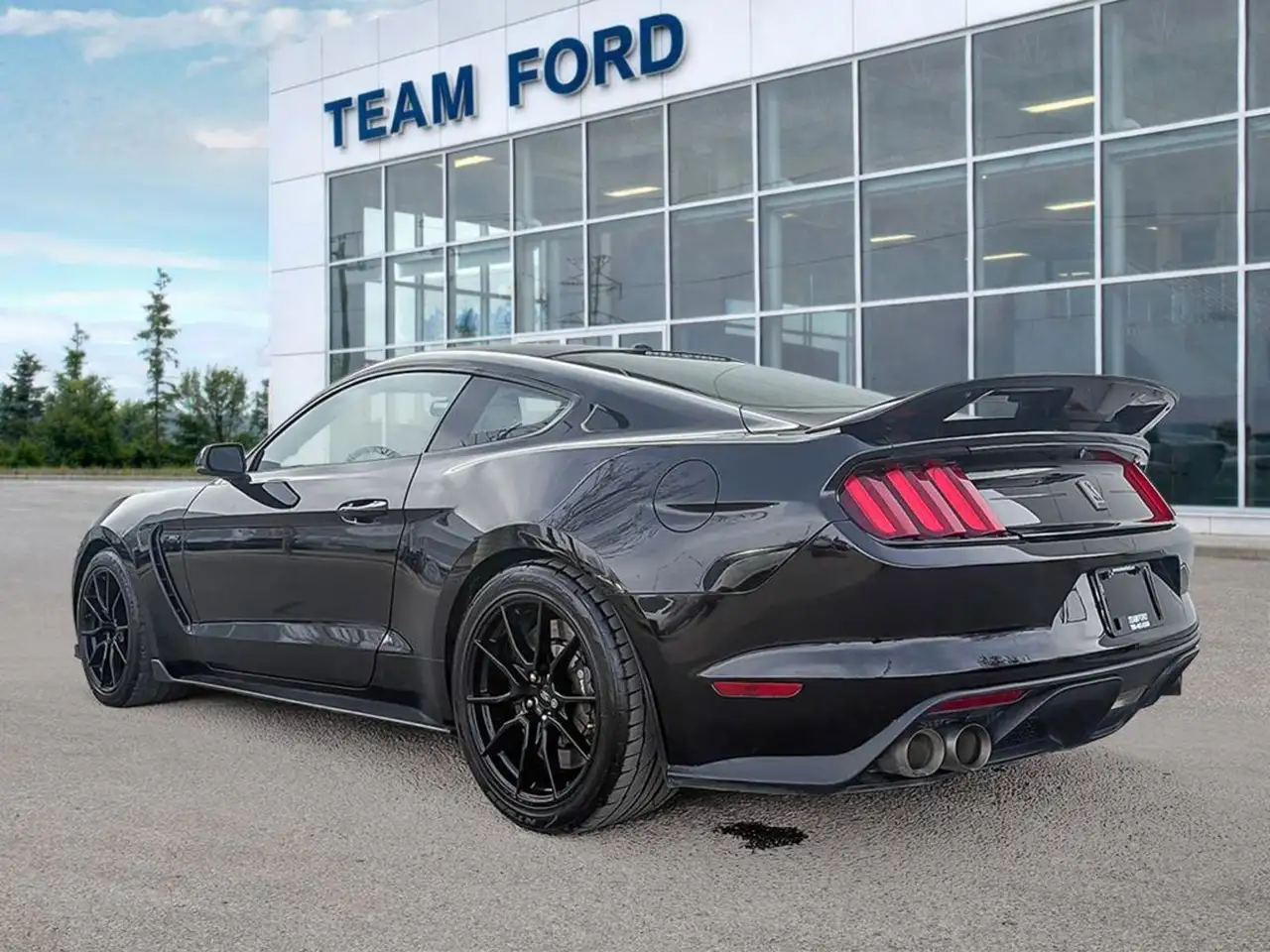 Ford Mustang снимка Ford Mustang
