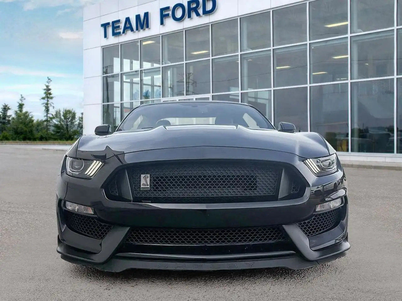 Ford Mustang снимка Ford Mustang