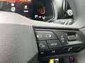 SEAT Ibiza Reference Edition 1.0 80PS Weiß - thumbnail 14