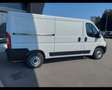 Fiat Ducato 33 2.2 Mjt 140CV PM-TN Easy Pro Furgone Blanc - thumbnail 5