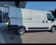 Fiat Ducato 33 2.2 Mjt 140CV PM-TN Easy Pro Furgone Blanc - thumbnail 7