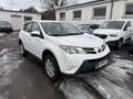 Toyota RAV 4 RAV4 Life LKW 2 Sitze Weiß - thumbnail 3