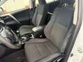 Toyota RAV 4 RAV4 Life LKW 2 Sitze Weiß - thumbnail 13