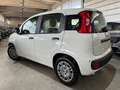 Fiat Panda 1.0 FireFly Hybrid Icon Pandina /PACK CITY+PARK Bianco - thumbnail 4