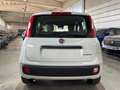 Fiat Panda 1.0 FireFly Hybrid Icon Pandina /PACK CITY+PARK Bianco - thumbnail 5