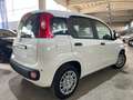 Fiat Panda 1.0 FireFly Hybrid Icon Pandina /PACK CITY+PARK Bianco - thumbnail 6