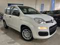 Fiat Panda 1.0 FireFly Hybrid Icon Pandina /PACK CITY+PARK Bianco - thumbnail 3