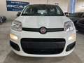 Fiat Panda 1.0 FireFly Hybrid Icon Pandina /PACK CITY+PARK Bianco - thumbnail 2