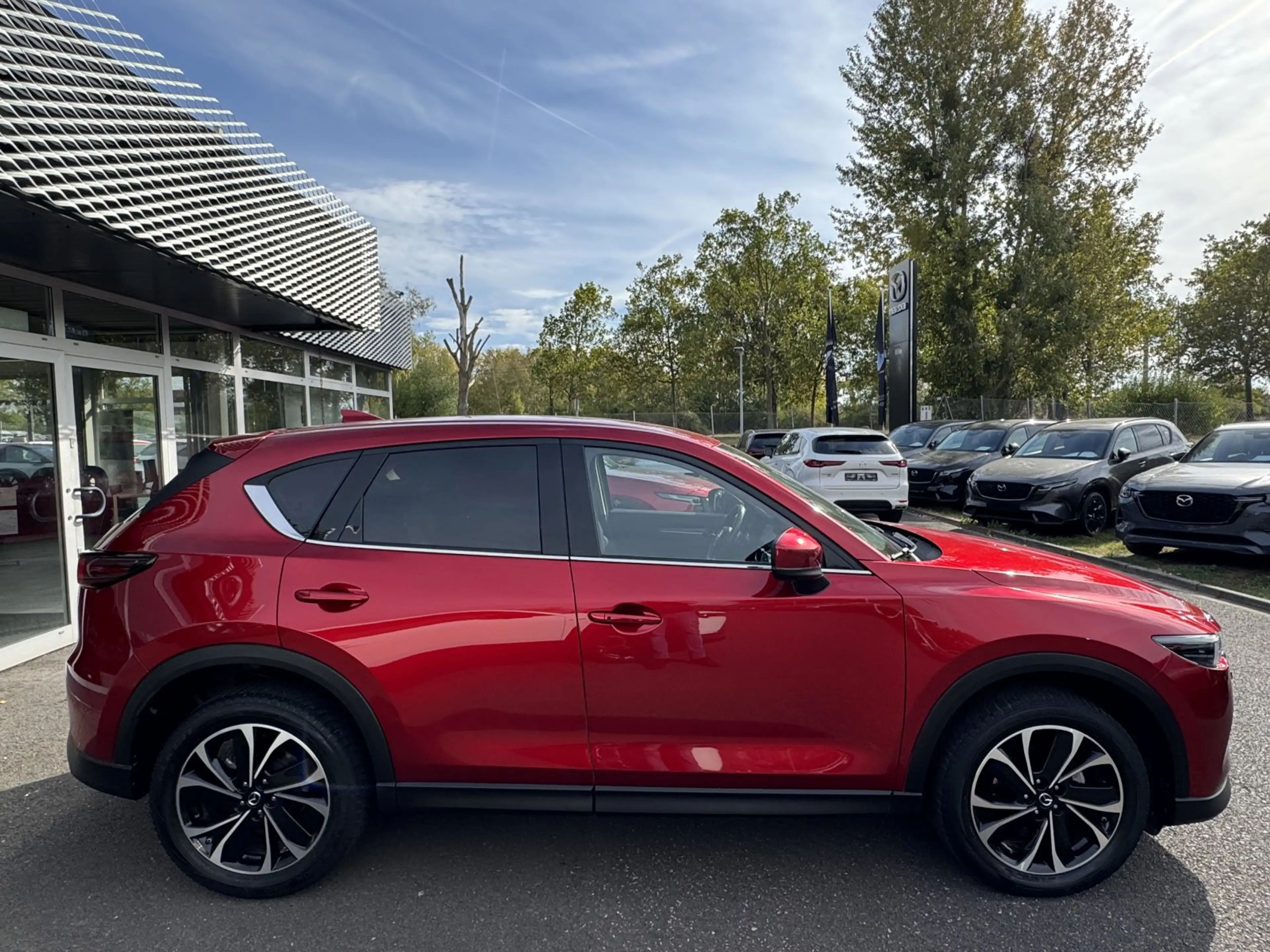 Mazda CX-5 2.5 194 M-Hy.Exclusiv-Line/MATRIX/BOSE/360° — photo 4