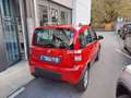 Fiat Panda 1.3 MJT 4x4 1 Prop Rosso - thumbnail 3