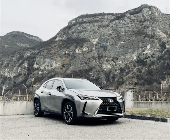 Lexus UX 250h