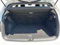 Volkswagen Golf VIII UNITED Lim. 2.0l TDI 6-Gang NAVI Blanc - thumbnail 14