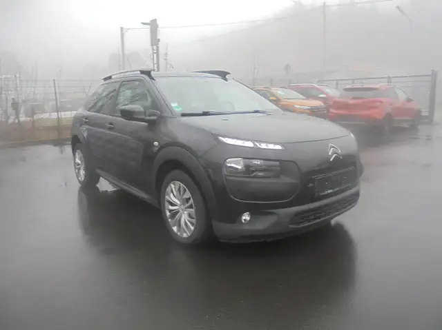 Citroen C4 Cactus Feel,Navi,Kamera
