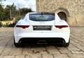 Jaguar F-Type 2.0i 300cv Coupé R-Dynamic (Tetto/Led/Auto/Retro) Blanc - thumbnail 14