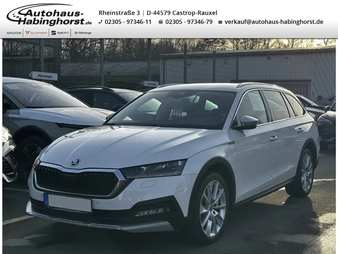 Skoda Octavia IV Combi 2.0 TDI DSG 4x4 Scout Shz FullLink Alu Weiß - 1