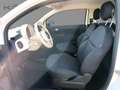 Fiat 500 1.0 GSE MY23 Klima *CarPlay *Radio Weiß - thumbnail 12