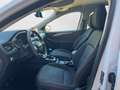 Ford Kuga 1.5 EcoBoost Trend FWD 120 Blanc - thumbnail 12