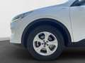 Ford Kuga 1.5 EcoBoost Trend FWD 120 Blanc - thumbnail 19