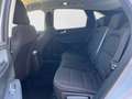 Ford Kuga 1.5 EcoBoost Trend FWD 120 Blanc - thumbnail 15
