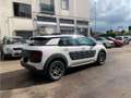 Citroen C4 C4 Cactus 1.2 puretech 82 CV NEOPATENTATI Bianco - thumbnail 4