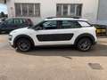 Citroen C4 C4 Cactus 1.2 puretech 82 CV NEOPATENTATI Bianco - thumbnail 7