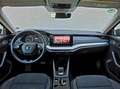 Skoda Octavia Ambition /ACC/KAMERA/ Grau - thumbnail 9