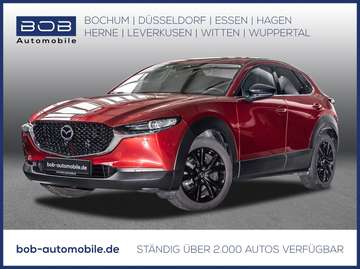 2.0 X Aut. Homura NAVI HEADUP RFK LHZ SHZ