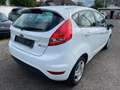 Ford Fiesta Trend NUR 69000KM Inspektion mit Zahnriemen Neu Weiß - thumbnail 7