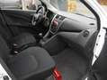 Suzuki Celerio Celerio 1.0i GL automat* AIRCO* Blanc - thumbnail 16